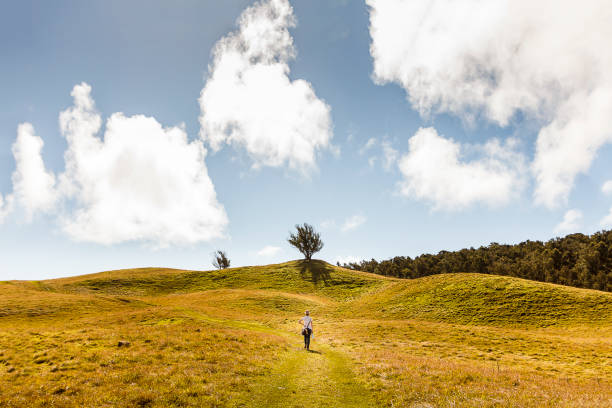 istock Woman Traveling in Easter Island 641063220