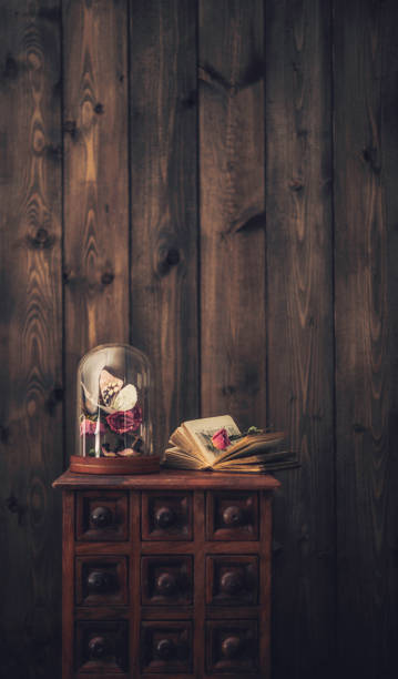 istock Nostalgic souvenirs. Butterfly and roses still life 641068102