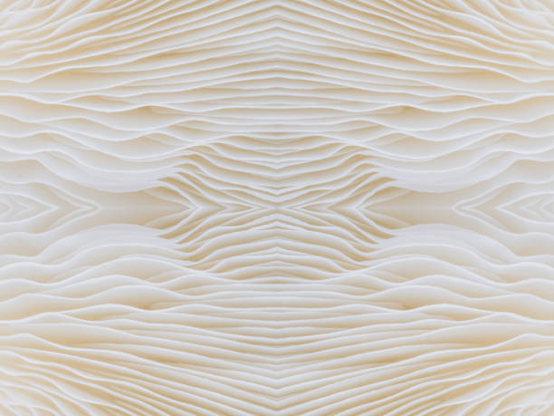 istock abstract background macro image of Sajor-caju Mushroom 641079096