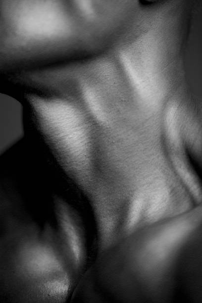 istock Human Body Neck In Black and White 641080448
