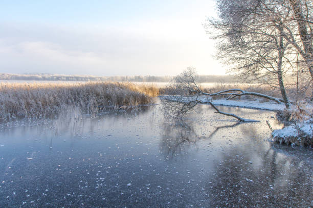 istock Frosty winter morning at sunrise. 641083846