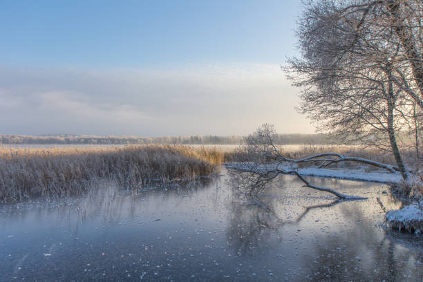 istock Frosty winter morning at sunrise. 641083862