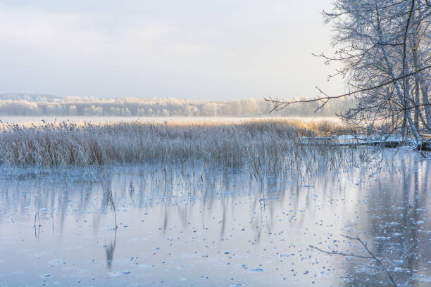 istock Frosty winter morning at sunrise. 641083868