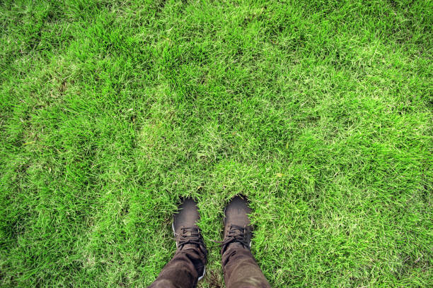 pair of sneakers in green grass