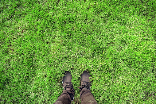 pair of sneakers black in green grass, copy space.