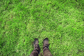 pair of sneakers in green grass