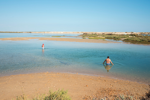 the landscape and nature of the Ria Formosa near the Town of Tavira at the east Algarve in the south of Portugal in Europe.