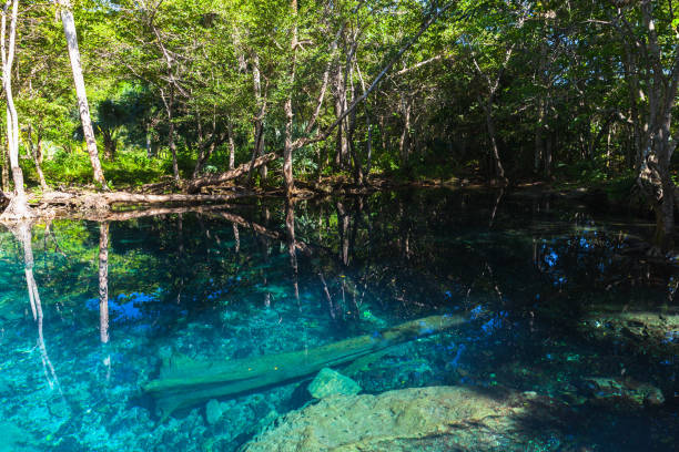 istock Deep blue lake in dark tropical forest 641089380