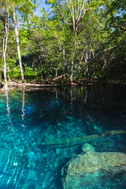 istock Still blue lake in dark tropical forest 641089386