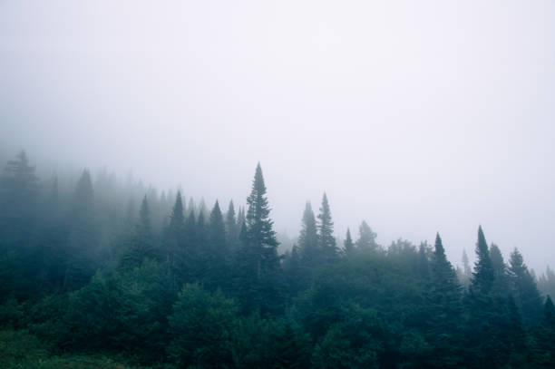 istock Foggy day in Mont Tremblant National Park 641089676