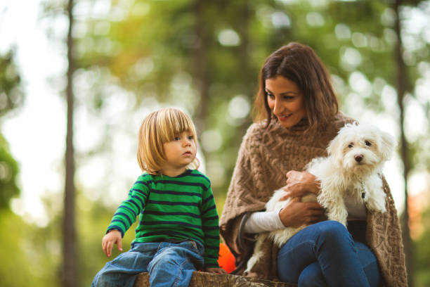 istock Family of three 641090608