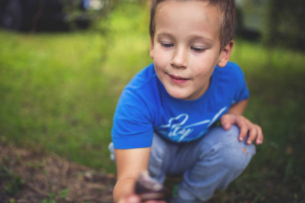 preschool boy playing in the nature - peeking analyzing staring watching imagens e fotografias de stock