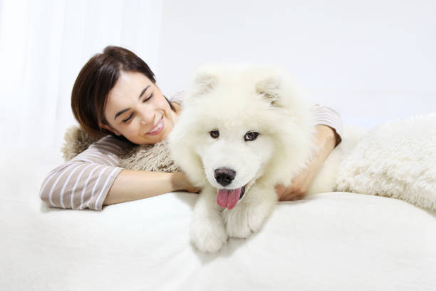 mulher sorridente com cão pet - arctic bay imagens e fotografias de stock