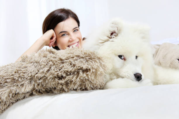 улыбающаяся женщина с pet dog - arctic bay стоковые фото и изображения
