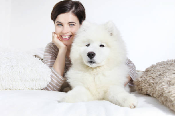 mulher sorridente com cão de estimação - arctic bay - fotografias e filmes do acervo