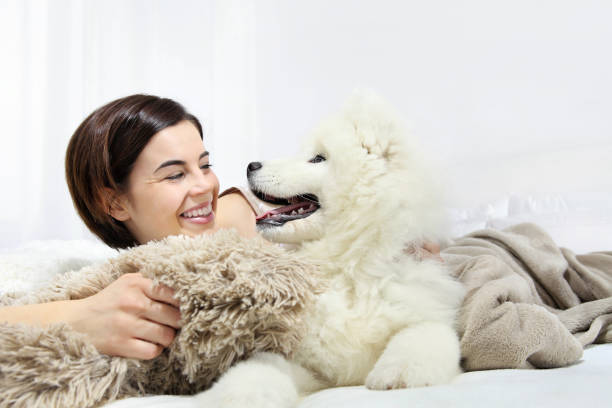 mulher sorridente com cão pet - arctic bay imagens e fotografias de stock