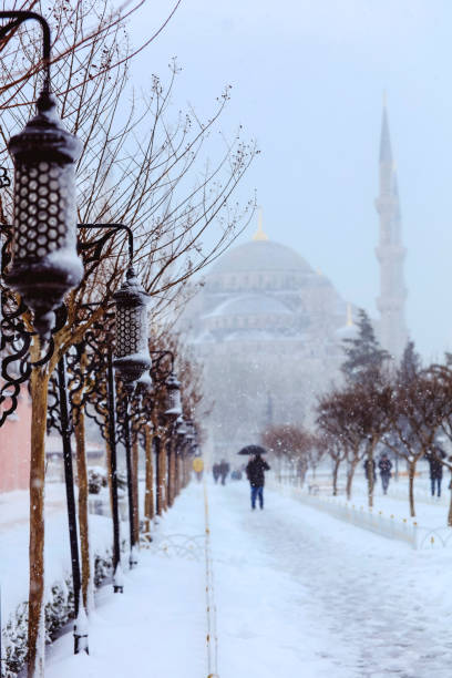 istock The Blue Mosque and Street Light 641099910