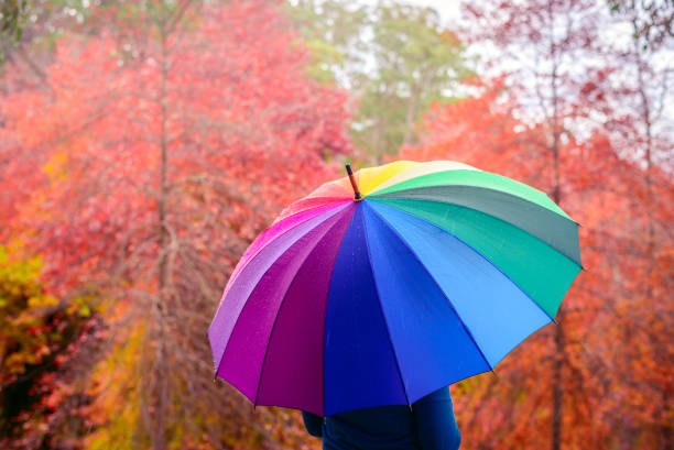 Woman standing under rain in autumn park with colorful umbrella