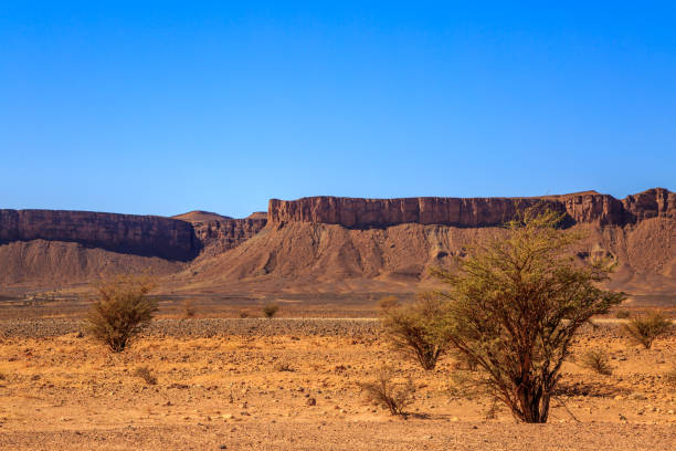 istock Beautiful Moroccan Mountain landscape with acacia tree in foreground 641112846
