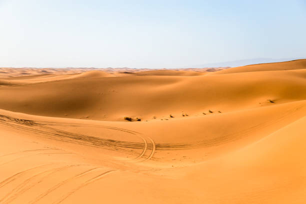istock Tire impression on a track in the Moroccan desert 641112914