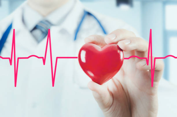 istock Cardiologist holding heart 3D model. Concept with cardiogram 641115102