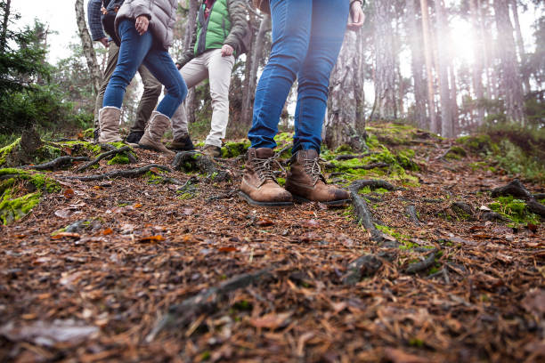 istock Group of friend walking into wood 641117594