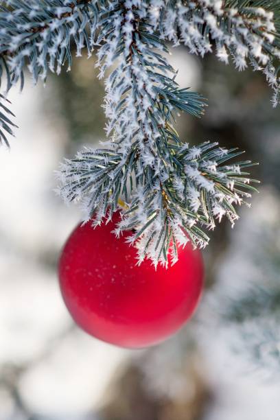 istock Red Christmas ball on a snow-covered tree branch 641119444