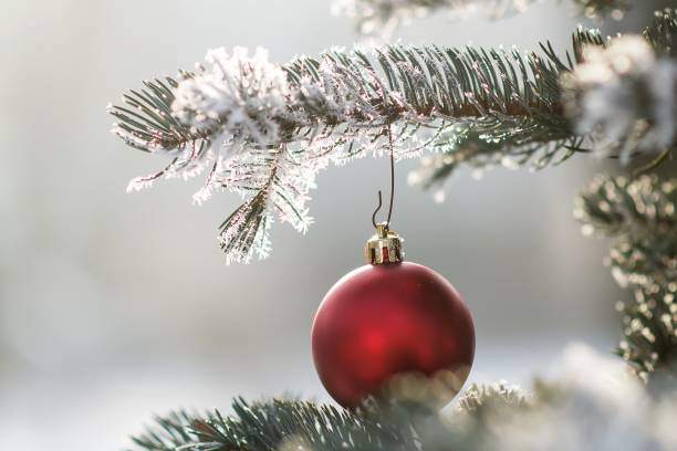 istock Red Christmas ball on a snow-covered tree branch 641119578
