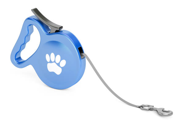 Blue Automatic Retractable Traction Rope. Walking Lead Leash, 3D rendering vector art illustration