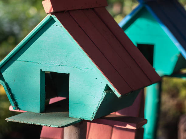 istock Green Blue Pink Birdhouse 641130088