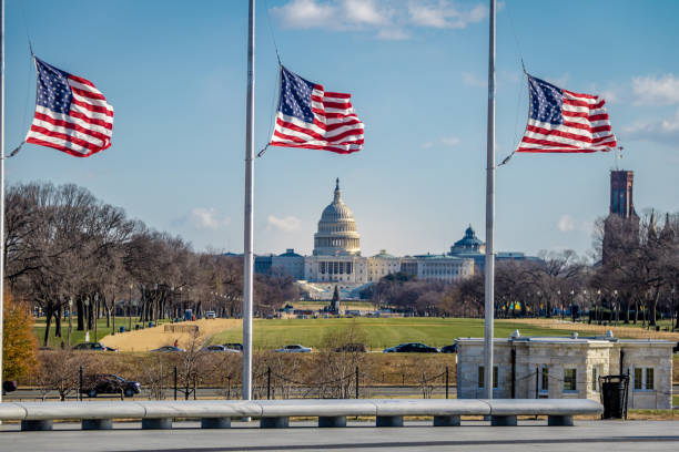 istock American Flags and US Capitol - Washington, D.C., USA 641130102