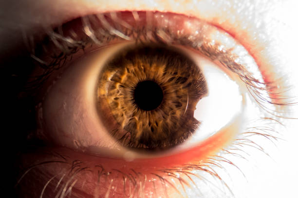 istock Close-up of brown human eye 641132416