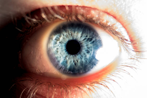 istock Close-up of blue human eye 641132444