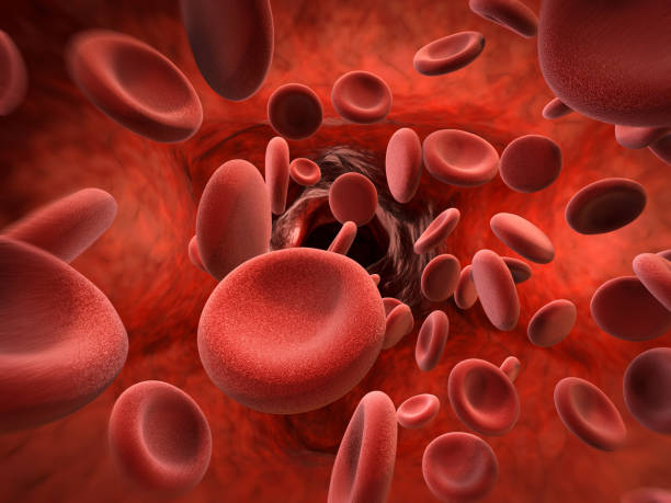 red blood cells in vein 3d rendering red blood cells in vein red blood cell stock pictures, royalty-free photos & images