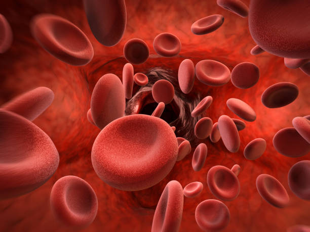 red blood cells in vein - hematology imagens e fotografias de stock