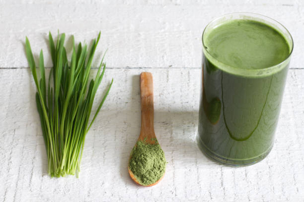 junge gerste mit frischen rasen detox diät-konzept - barley grass juice green stock-fotos und bilder