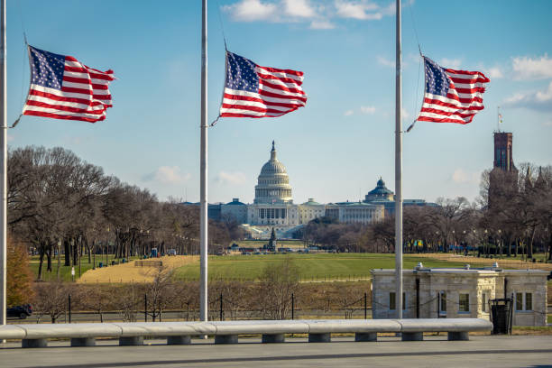 istock American Flags and US Capitol - Washington, D.C., USA 641136478