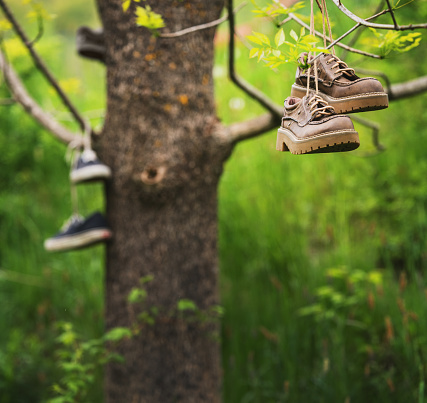 Make a wish, toss a pair of shoes into the shoe tree.