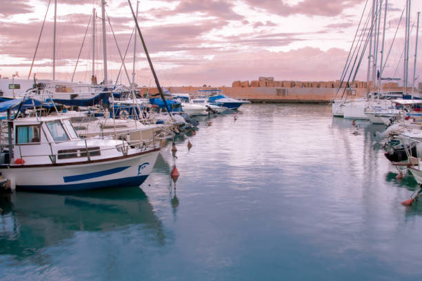 fishing & pleasure boats docked in port - old jaffa, israel - sailboat sunset tel aviv sea imagens e fotografias de stock