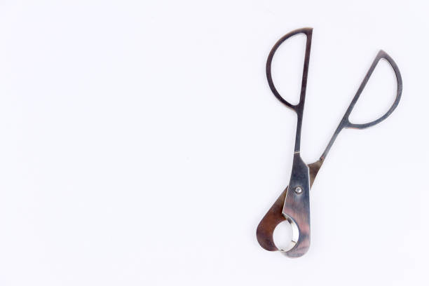 istock Object photography of a cigar cutter 641150832