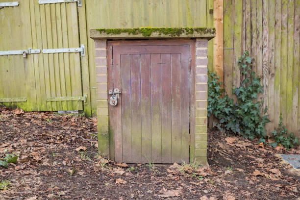 istock Small wooded door locked in the woods 641155368