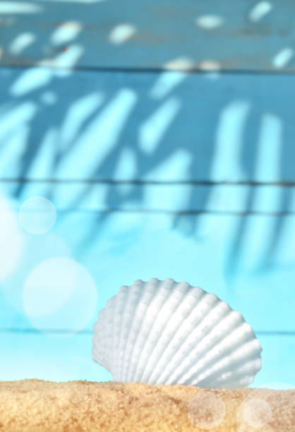 istock Sea sand with seashell on wooden background. 641156822