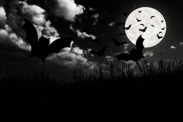 istock Night moon in bat and meadows of death. 641157702