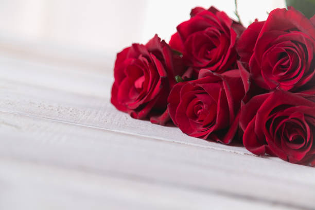 istock Beautiful roses, valentines concept, bright background 641158122