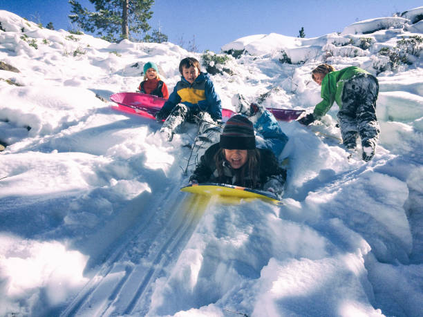 group of children sledding together - bluebird bird american culture front or back yard imagens e fotografias de stock