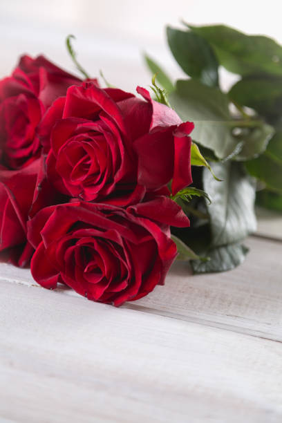 istock Beautiful roses, valentines concept, bright background 641163140