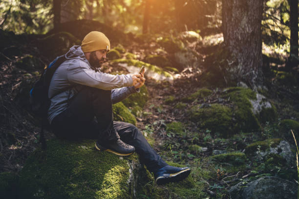 istock Traveler uses smartphone in the forest 641163856