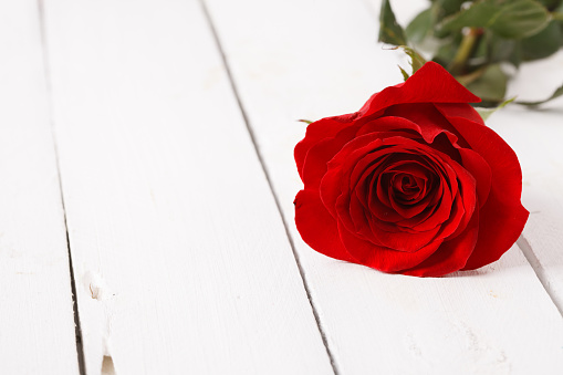 Rosa Flores Sobre Mesa De Madera Foto de stock y más banco de imágenes de Abierto - Abierto, Actividad romántica, Amor - iStock Rosa Flores Sobre Mesa De Madera Foto de stock y más banco de imágenes de Abierto - Abierto, Actividad romántica, Amor - iStock