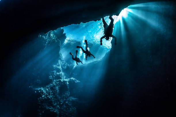 gozo de buceo - submarinismo fotografías e imágenes de stock