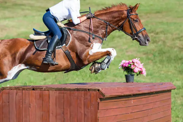 Horse jumping over an obstacle.